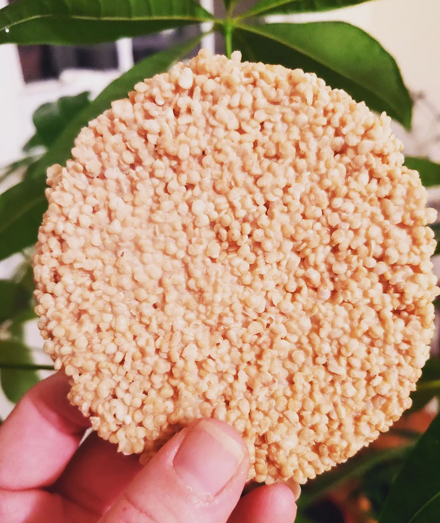 Quinoa Crisps - White Chocolate 2 Count